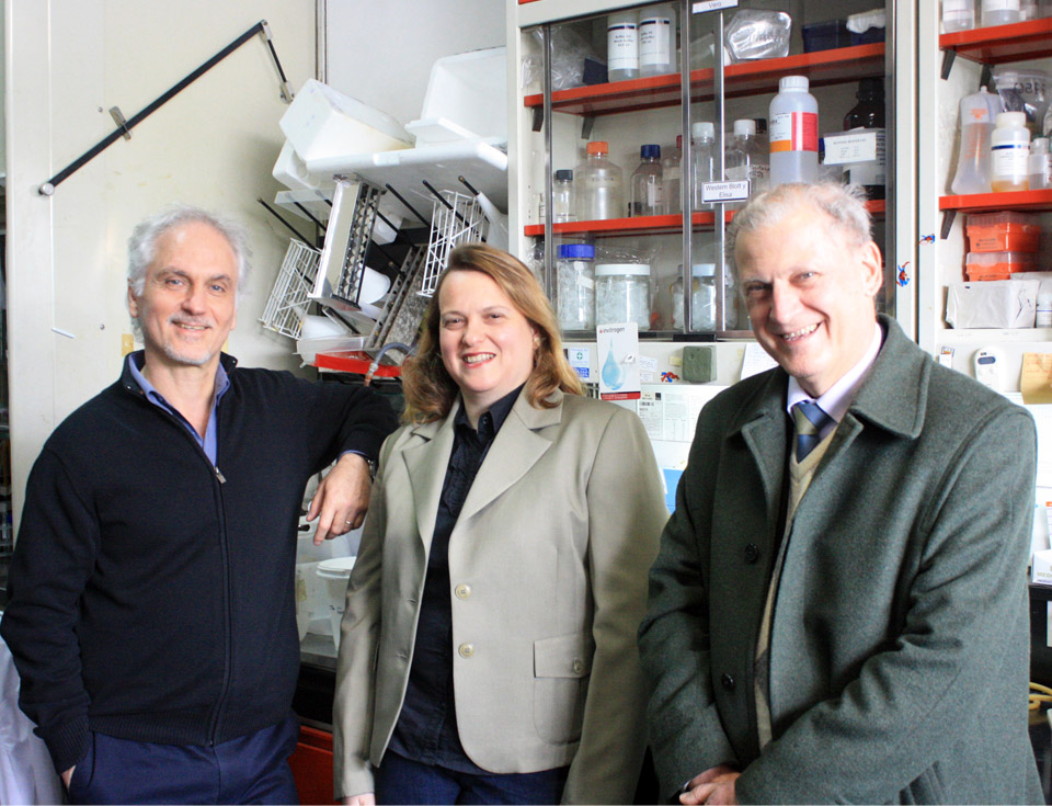 El doctor Osvaldo Podhajcer (izq.), jefe del laboratorio de Terapia Molecular y Celular del Instituto Leloir, la doctora Verónica López, autora principal del estudio e integrante del laboratorio del doctor Podhajcer y el doctor Nicasio Cuneo, Ginecólogo-Oncólogo del Hospital de Oncología Marie Curie.