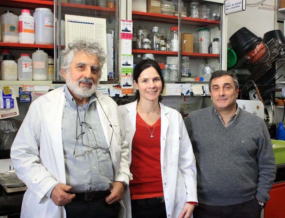 El doctor Luis Alberto Quesada Allue, jefe del laboratorio de Bioquímica y Biología Molecular del Desarrollo de la Fundación Instituto Leloir e investigador del CONICET (Izq.). Este estudio forma parte de la Tesis de doctorado de la licenciada Luciana Pujol Lereis y en el mismo participa el investigador del CONICET y de la Fundación Instituto Leloir Alejandro Rabossi.