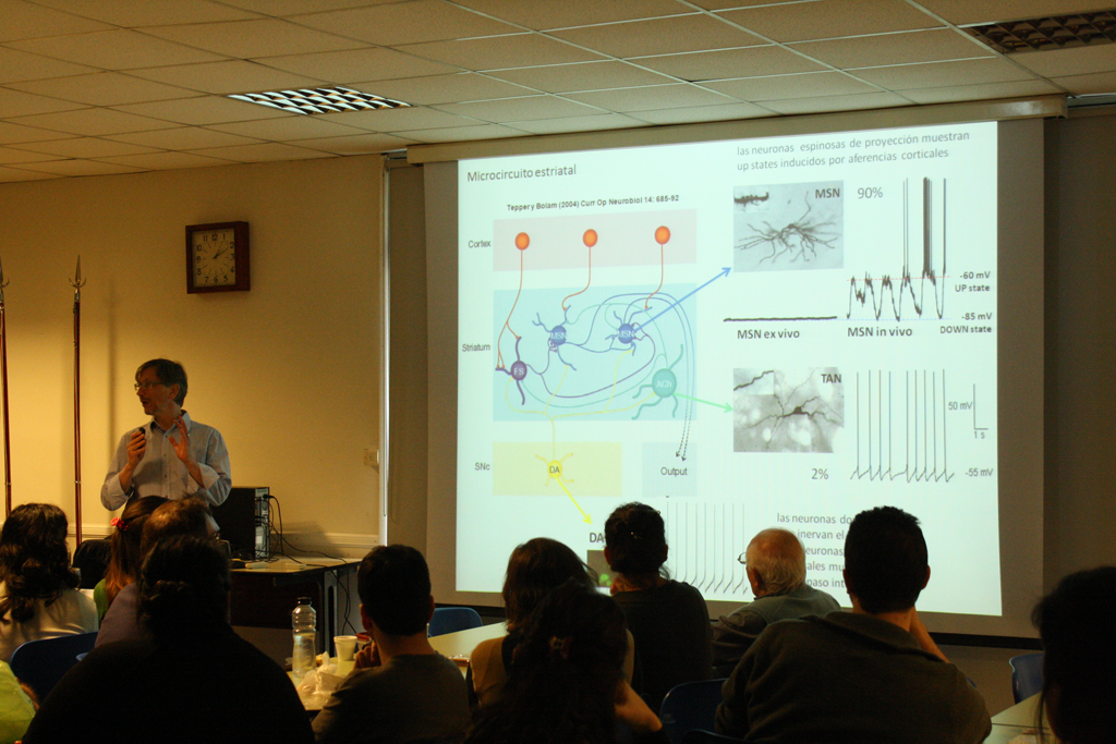 Dr Murer - Seminario Cardini - 6ta edición - 02