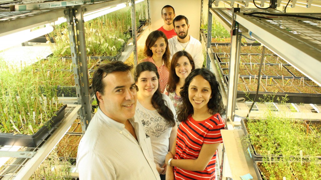 El Dr. José Manuel Estévez, Jefe del Laboratorio de Biología Molecular y Celular de Plantas del IFIBYNE, y algunos integrantes de su equipo como la Dra. Silvina Melina Velásquez, la Dra. Silvina Mangano, el Dr. Martín Mecchia, la Lic. Cecilia Borassi, la Lic. Silvina Paola Denita Juarez y el Lic. Juan Salgado Salter.