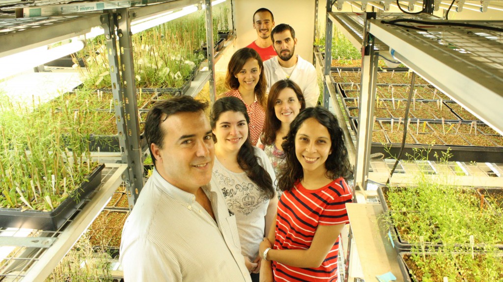 El Dr. José Manuel Estévez, Jefe del Laboratorio de Biología Molecular y Celular de Plantas del IFIBYNE, y algunos integrantes de su equipo como la Dra. Silvina Melina Velásquez, la Dra. Silvina Mangano, el Dr. Martín Mecchia, la Lic. Cecilia Borassi, la Lic. Silvina Paola Denita Juarez y el Lic. Juan Salgado Salter. 