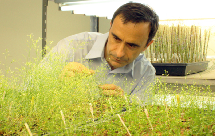 El Dr. Jorge Casal en el fitotrón de la Fundación Instituto Leloir.