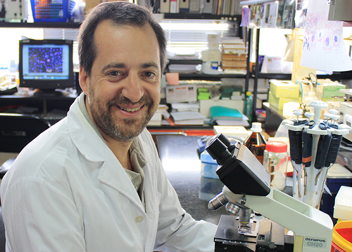 El doctor Fernando Pitossi, jefe del Laboratorio de Terapias Regenerativas y Protectoras del Sistema Nervioso del Instituto Leloir e investigador del CONICET.