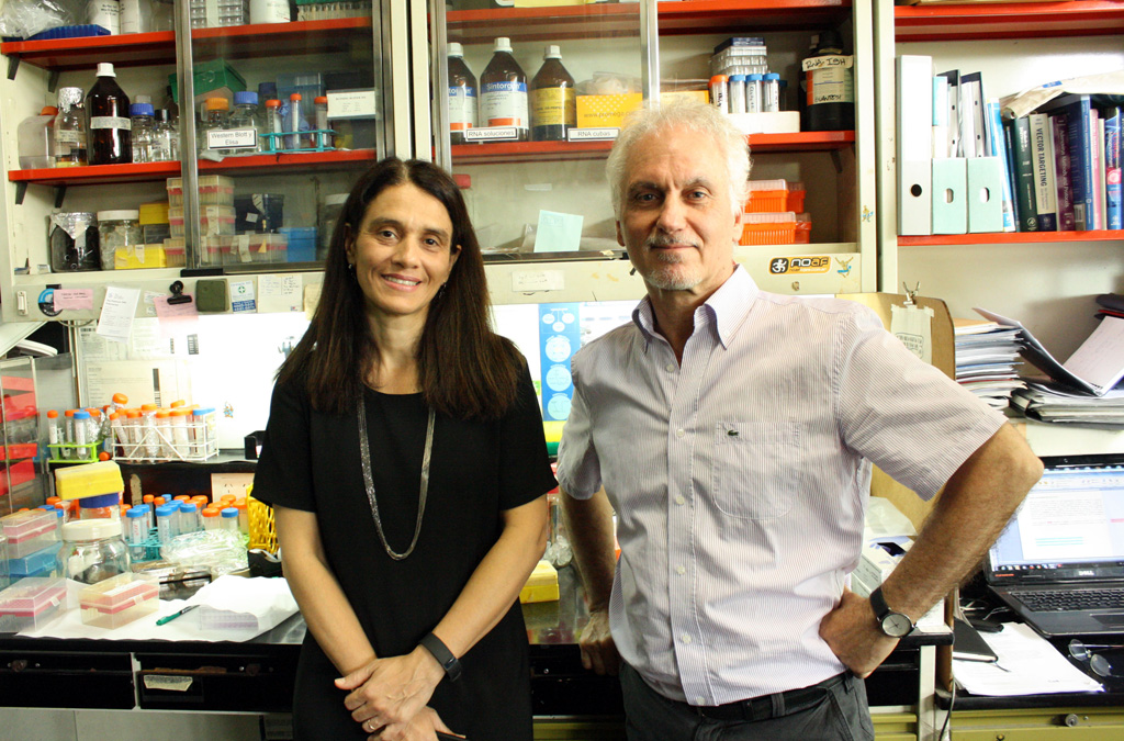 El doctor Osvaldo Podhajcer, coordinador del consorcio argentino que integra el Programa Latinoamericano de Investigación en Cáncer, y la doctora Andrea Llera, coordinadora del estudio genómico de las muestras de pacientes con cáncer de mama que se obtienen en nuestro país.