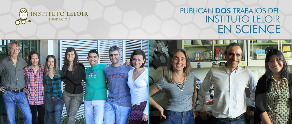 Publican dos trabajos del Instituto Leloir en Science