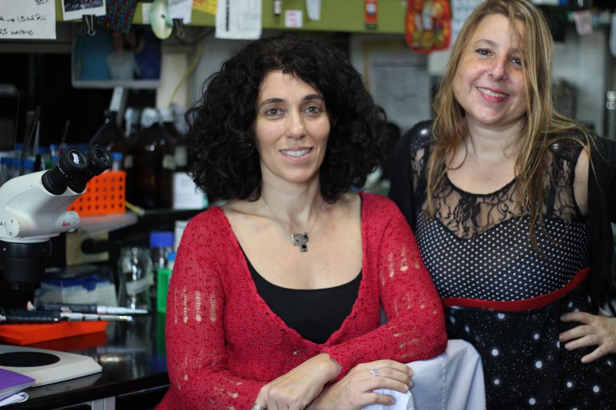 La doctora Fernanda Ceriani (izq.), jefa del Laboratorio de Genética del Comportamiento del Instituto de Investigaciones Bioquímicas de Buenos Aires, que depende del CONICET y del Instituto Leloir, y la primera autora del trabajo, la doctora Lia Frenkel.   