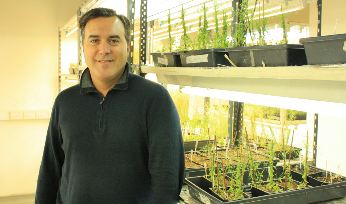 El doctor José Estévez es jefe del Laboratorio Bases Moleculares del Desarrollo Vegetal de la Fundación Instituto Leloir e investigador independiente del CONICET.