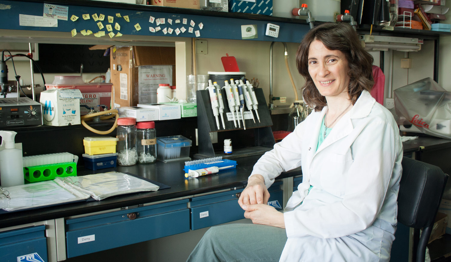 La doctora Verónica Piatti, investigadora del CONICET en el Laboratorio de Plasticidad Neuronal de la Fundación Instituto Leloir. 