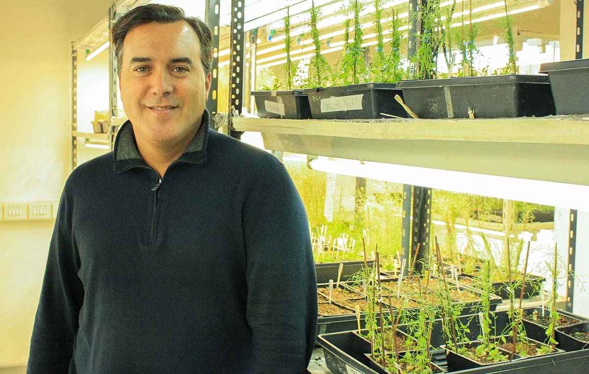 El doctor José Manuel Estévez, jefe del Laboratorio Bases Moleculares del Desarrollo Vegetal de la Fundación Instituto Leloir e investigador del CONICET.