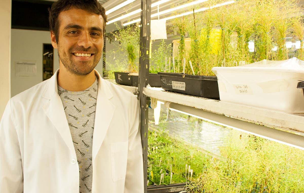 El doctor Germán Murcia realiza su posdoctorado en el laboratorio de Fisiología Molecular de Plantas liderado por el doctor Jorge Casal en la Fundación Instituto Leloir.