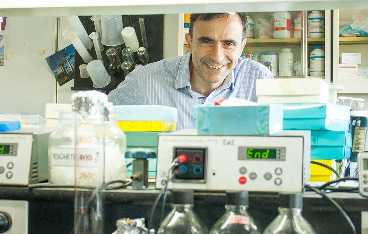 El Dr. Jorge Casal es jefe del Laboratorio de Fisiología Molecular de Plantas de la Fundación Instituto Leloir. 