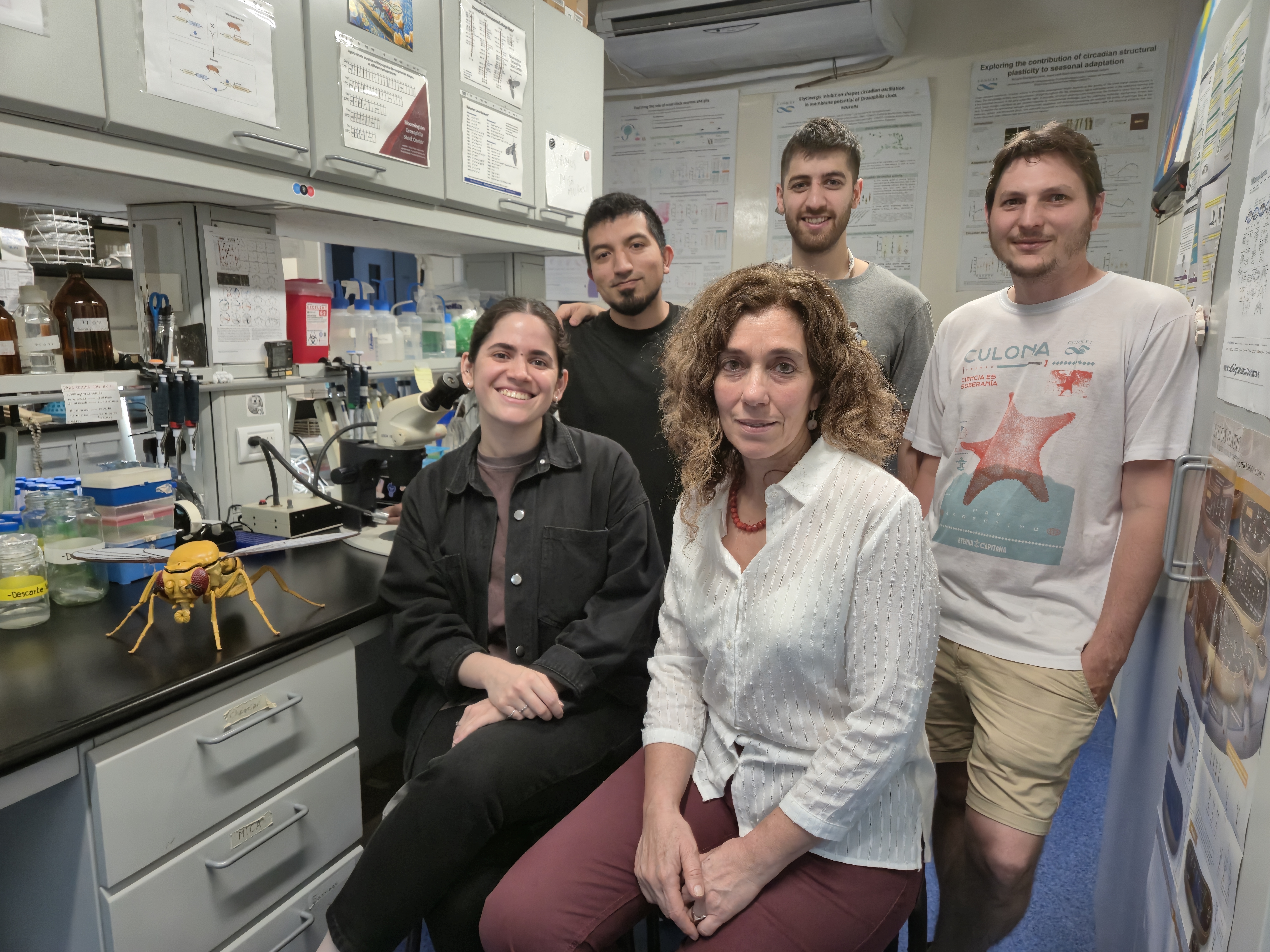 Viaje al interior de una neurona reloj: logran ver cambios sorprendentes a lo largo del día en las células que regulan ritmos biológicos