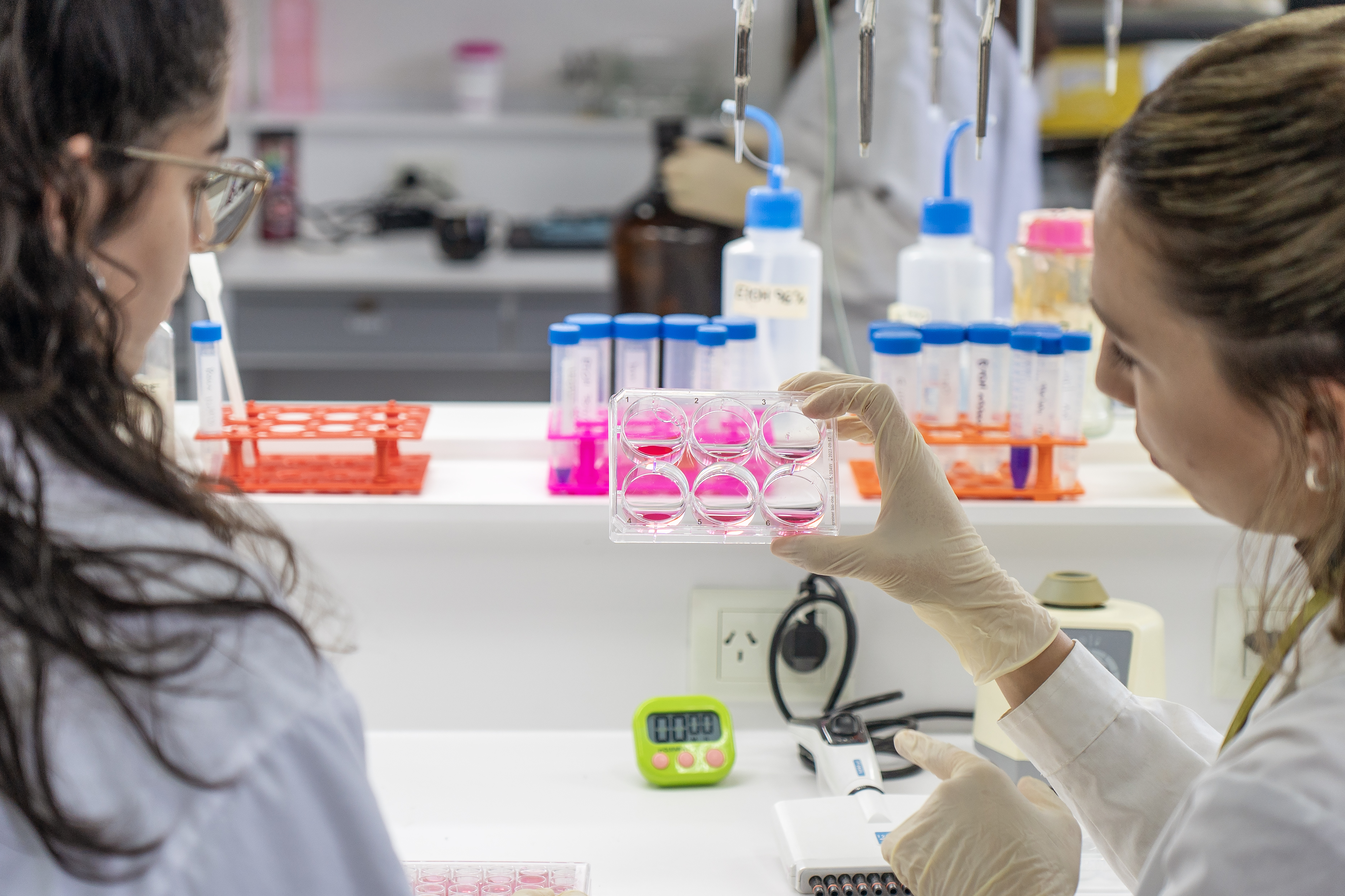 Día Internacional de la Mujer y la Niña en la Ciencia: alentamos a las más jóvenes a seguir sus vocaciones científicas