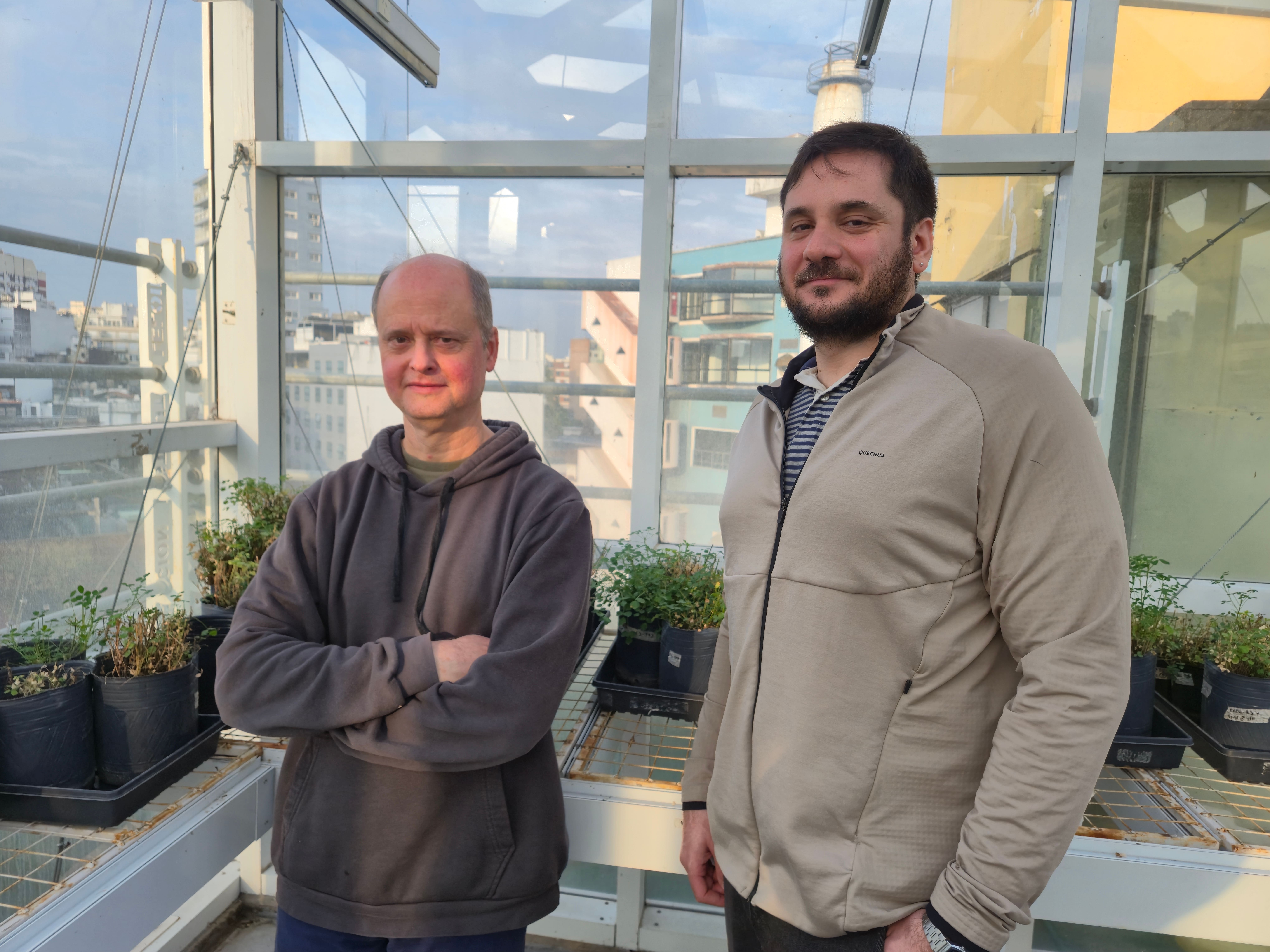Determinan un nuevo jugador clave para la floración de ciertas plantas: MED3