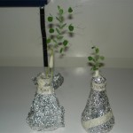 Plantas inoculada y cultivadas en luz y la de la derecha con bacterias cultivadas