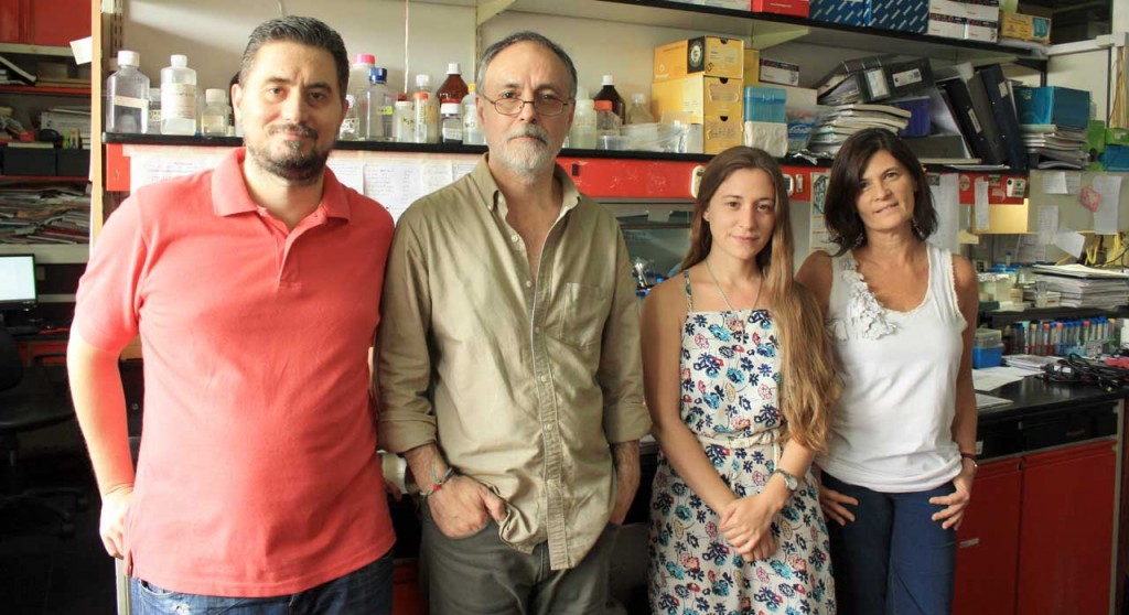 Los investigadores del Instituto Leloir que participaron del avance: la líder del estudio, doctora Laura Morelli (der.), la primera autora del trabajo, licenciada Pamela Martino Adami, el jefe del Laboratorio de Amiloidosis y Neurodegeneración, doctor Eduardo Castaño, y el segundo autor, doctor Pablo Galeano.