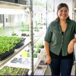 “Identificamos el primer receptor de temperatura de las plantas”