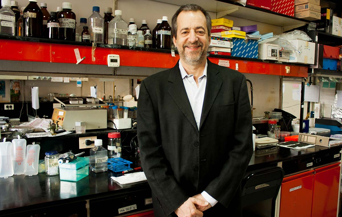 El doctor Fernando Pitossi, director del Laboratorio de Terapias Regenerativas y Protectoras del Sistema Nervioso del Instituto Leloir.