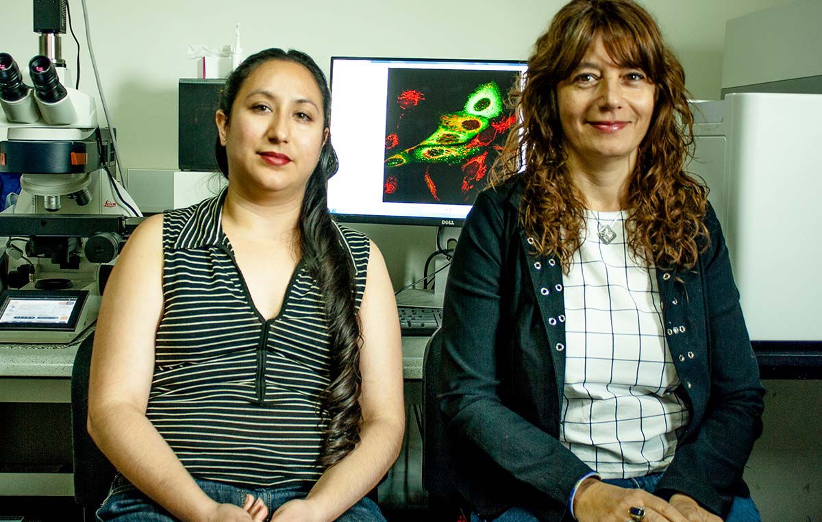 Cristina Marino-Buslje (der.), jefa del Laboratorio de Bioinformática Estructural del Instituto Leloir, y Elizabeth Martínez Pérez, integrante de su grupo.