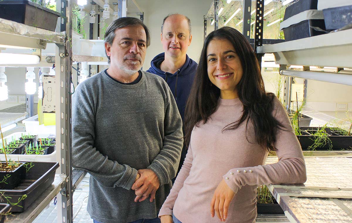 Jorge Muschietti (izq.), Pablo Cerdán, Sofía Arellano.