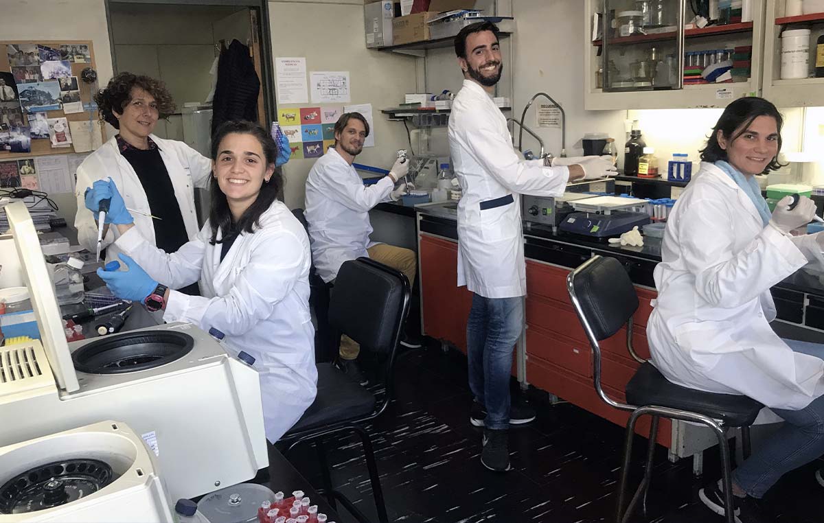 Jóvenes científicos de la FIL trabajan para producir los primeros test serológicos de coronavirus en Argentina